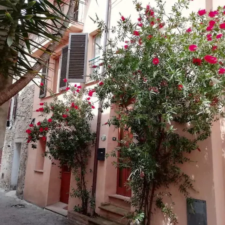 Nido Nel Cuore Di *